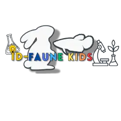 IDFK