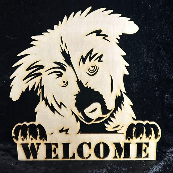 Welcome Border Collie