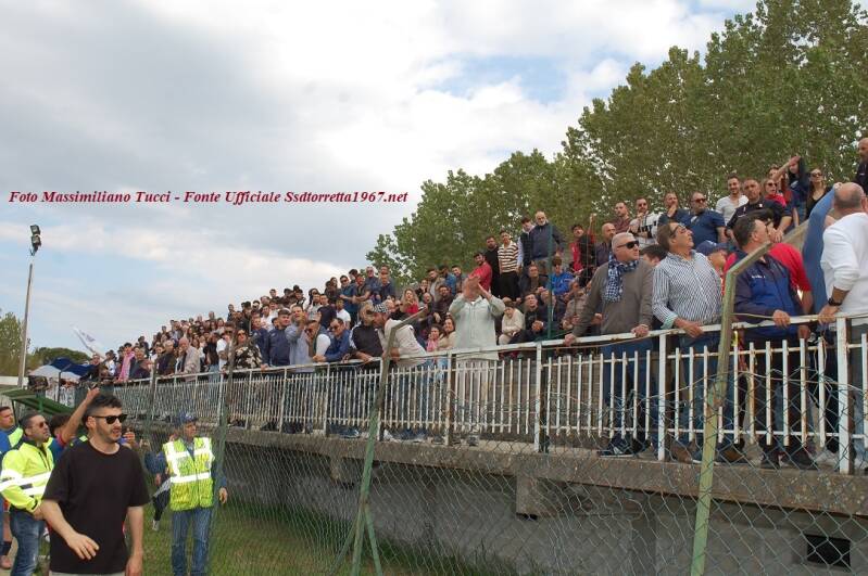 foto-7-standard-p3fyy0.jpg