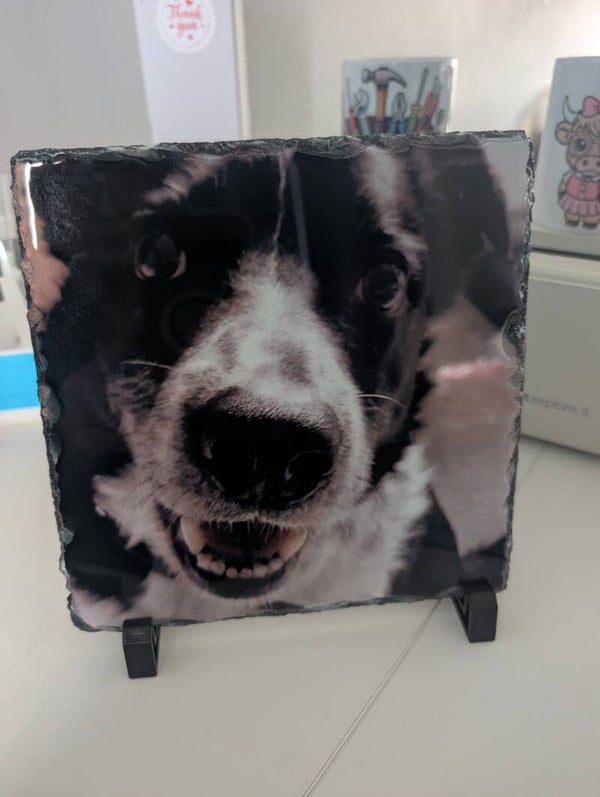Large photo slate £20
