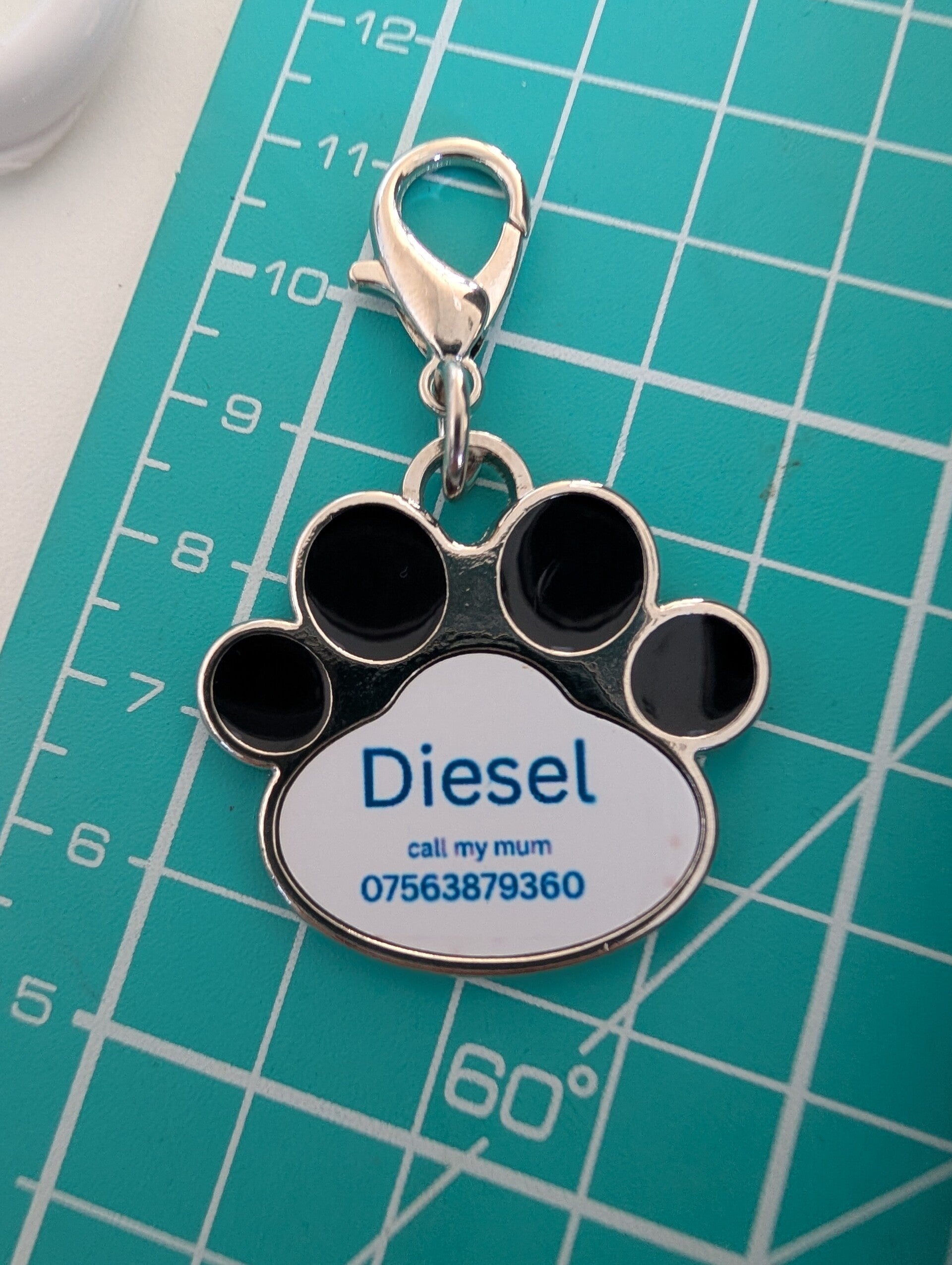 Pet tags