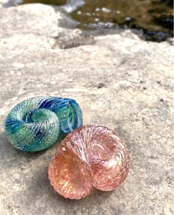 ammonite