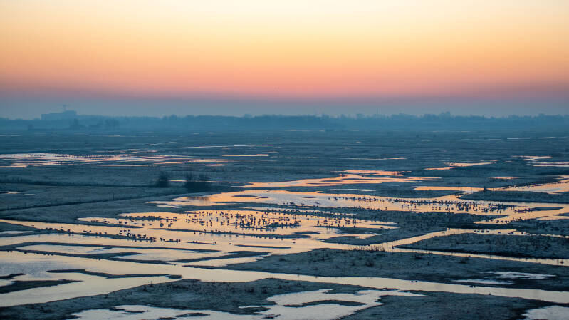 De Yerseke Moer op een wintermorgen in vogelvlucht | © TekstEnPlaat.nl