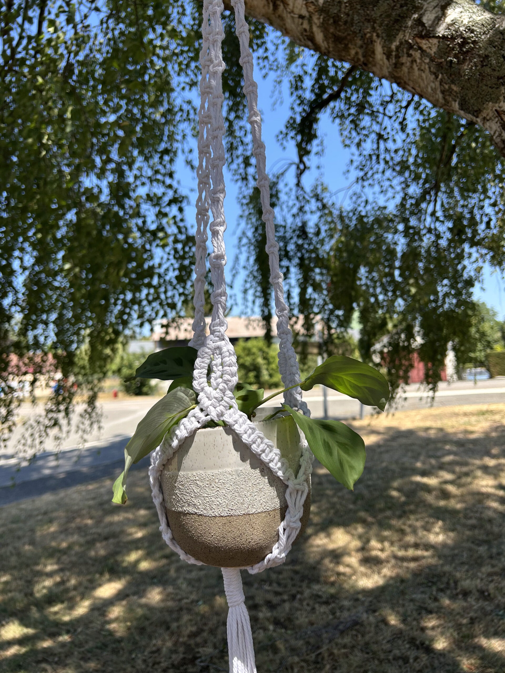 Suspension fleur macramé