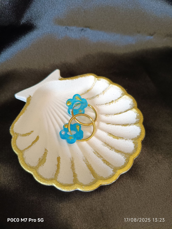 Coquille st Jacques effet pierre