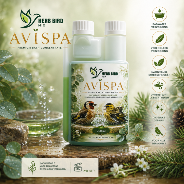 avispa