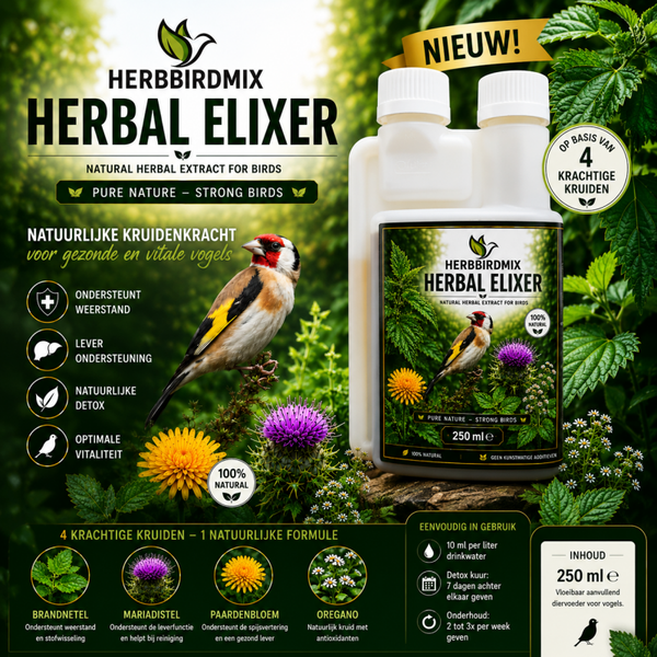herbal elixer