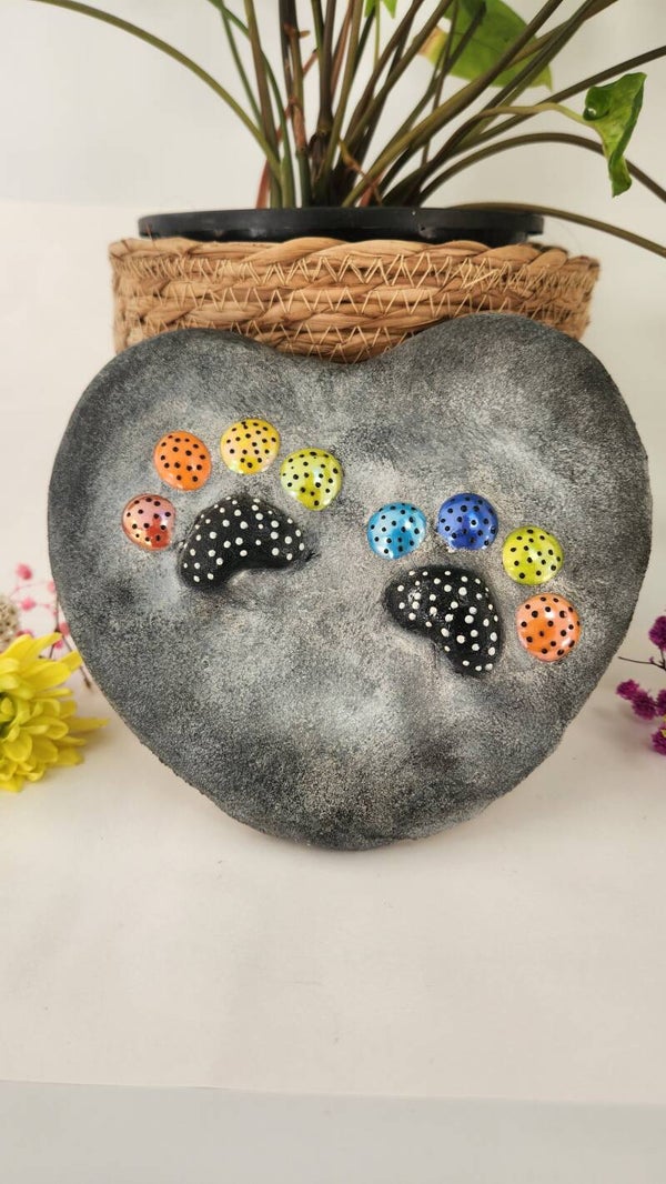 Rainbow Paws - Large