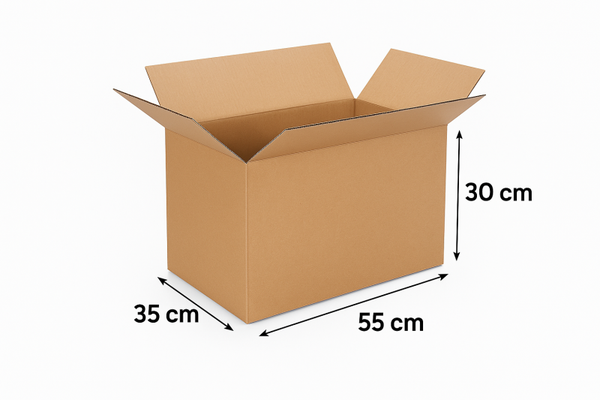Pack de 10 cartons standard