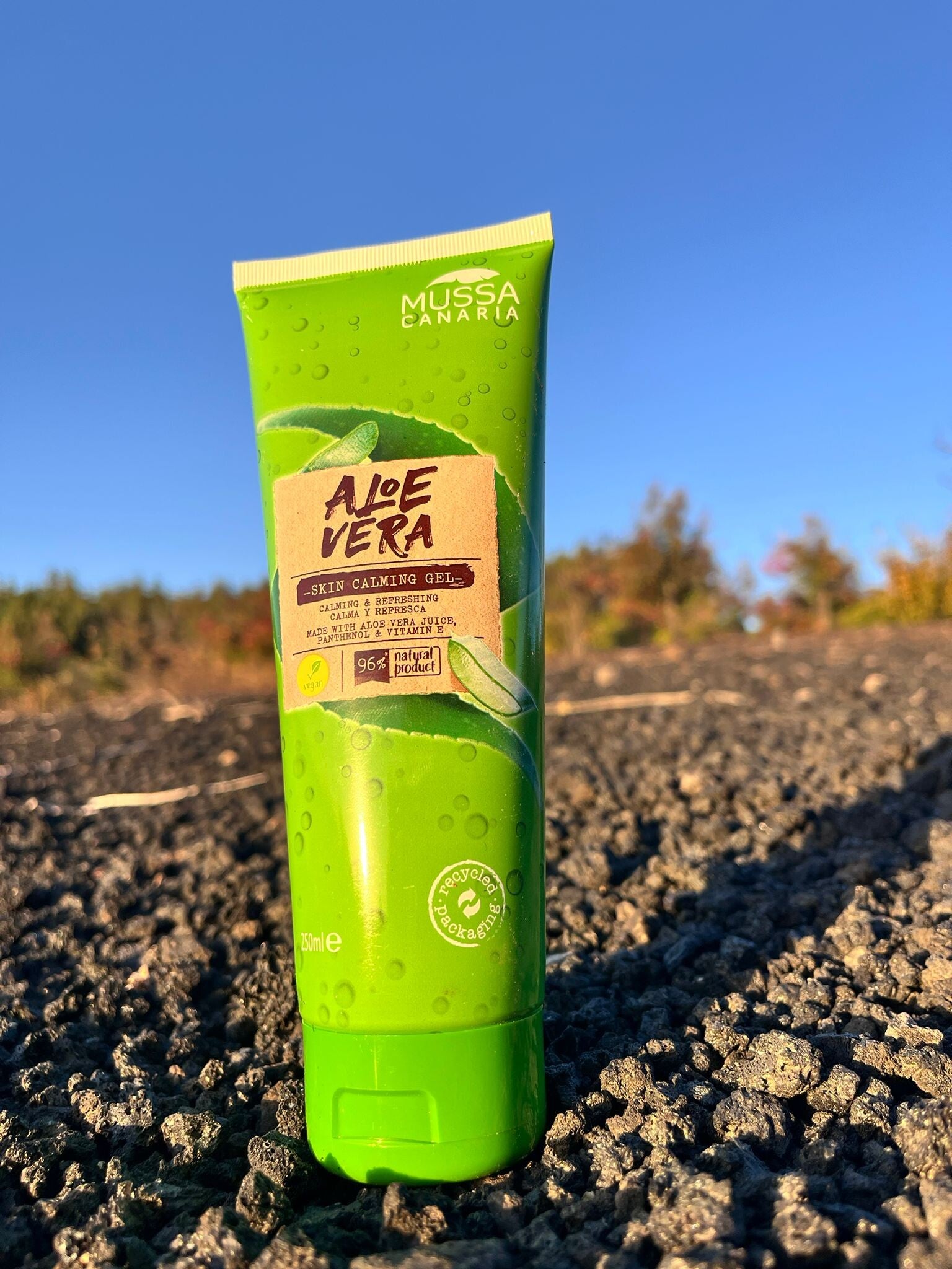 Gel refrescante de Aloe Vera (Mussa Canaria) 300ML