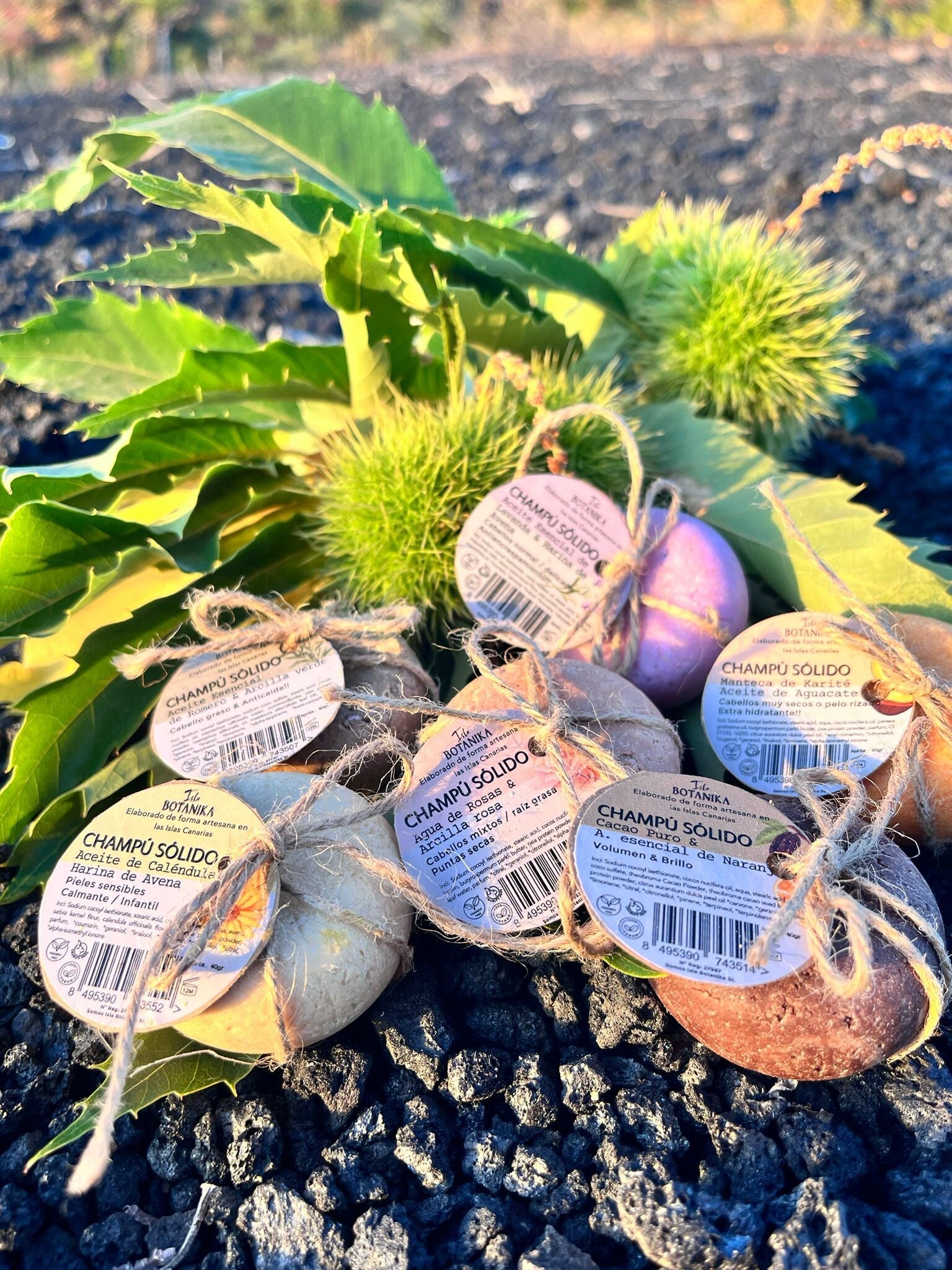 Champú sólido elaborado artesanalmente karite y aguacate 40gr aprox (Isla Botanika)