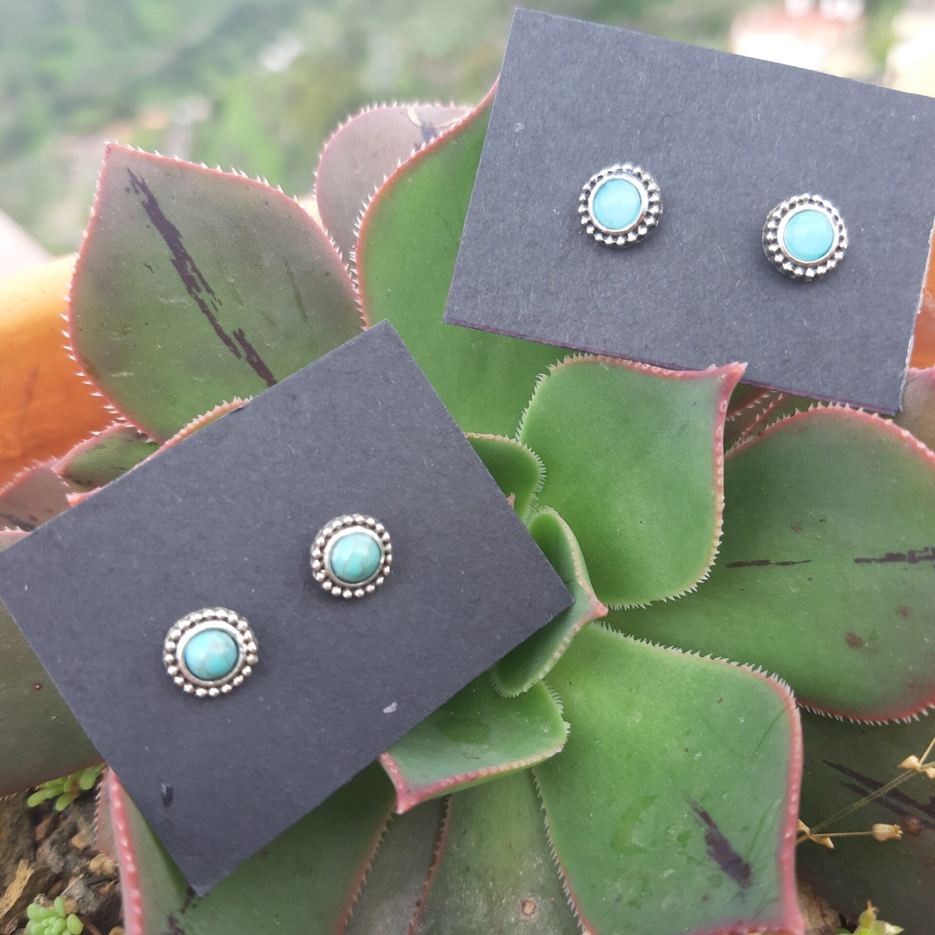 Pendientes circulares turquesa y plateadas (limitados)
