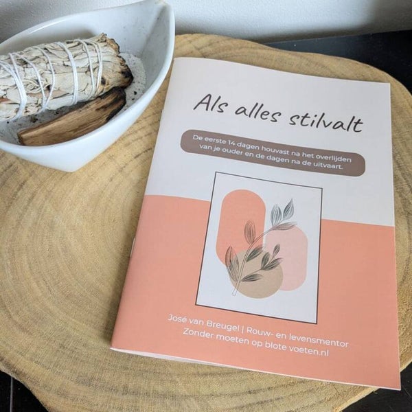 Als alles stilvalt - Voor de eerste 14 dagen na het verlies van je vader of moeder