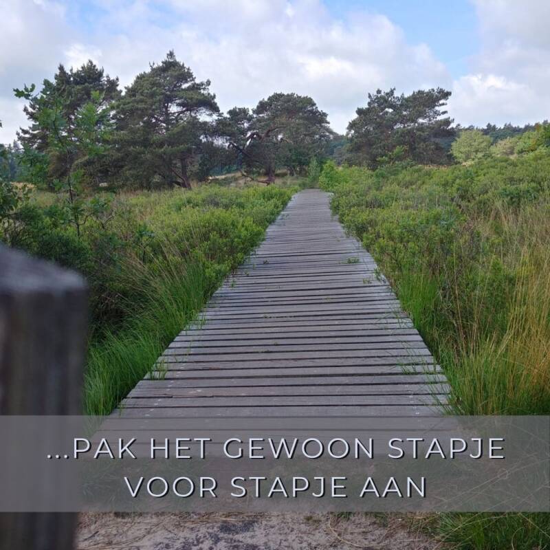 Het gaat niet vanzelf