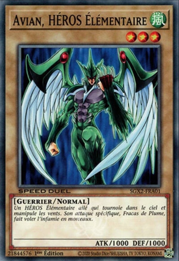 Yu-Gi-Oh ! Deck Héros Élémentaire prêt pour être jouer en français