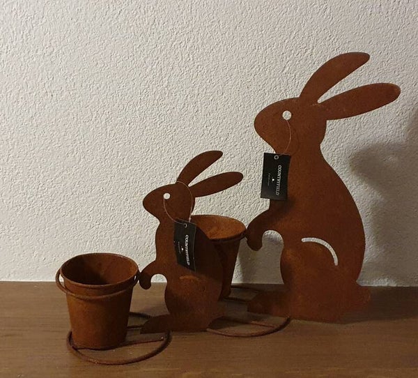 Countryfield haasjes