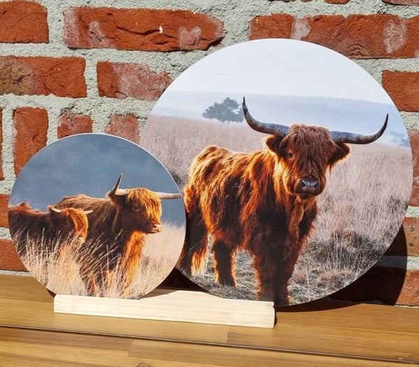 Kado set Muurcirkel Dubbele Hooglanders