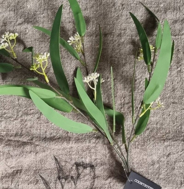 Countryfield Eucalyptus bloem