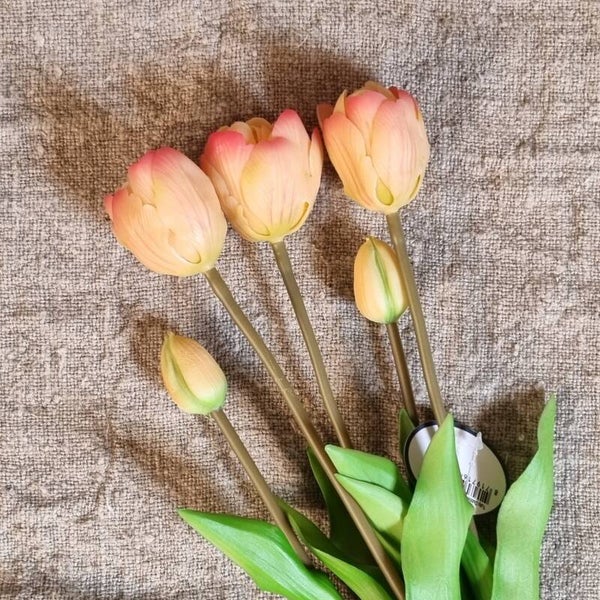 Dubbele Tulpen Salmon