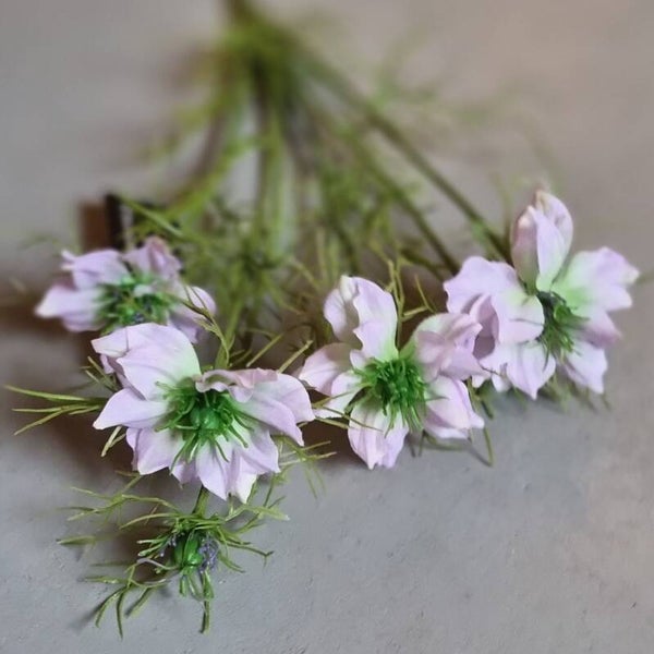 Countryfield Nigella roze