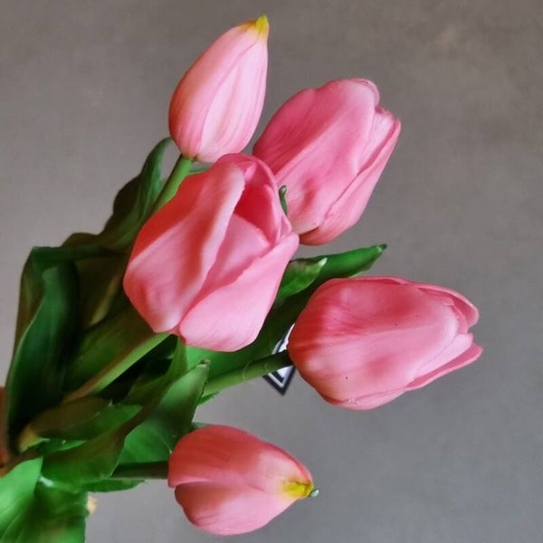 Countryfield Tulpen Roze