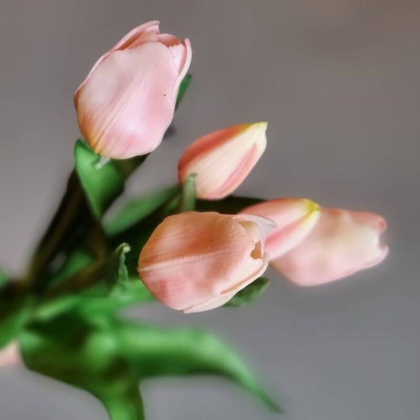 Countryfield Tulpen Licht Roze