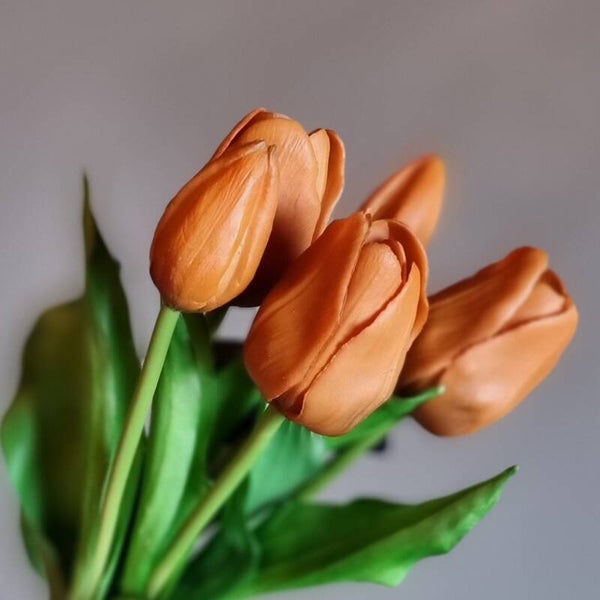 Countryfield Tulpen Oranje