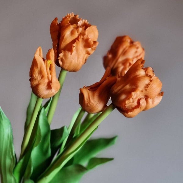 Countryfield Tulpen Oranje