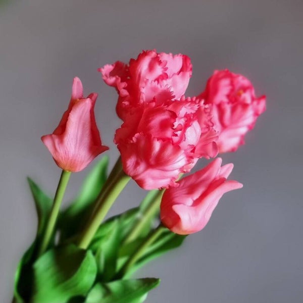 Countryfield Tulpen Roze