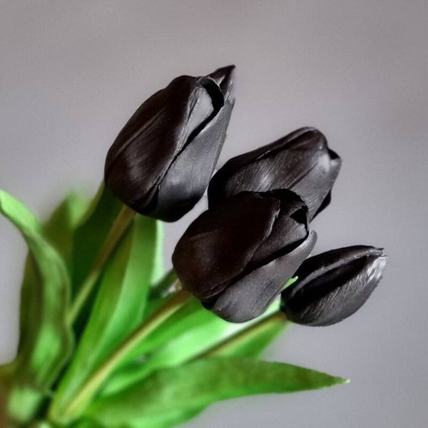 Countryfield Tulpen Zwart