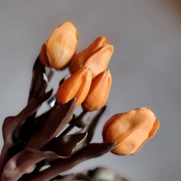 Countryfield Tulpen Oranje