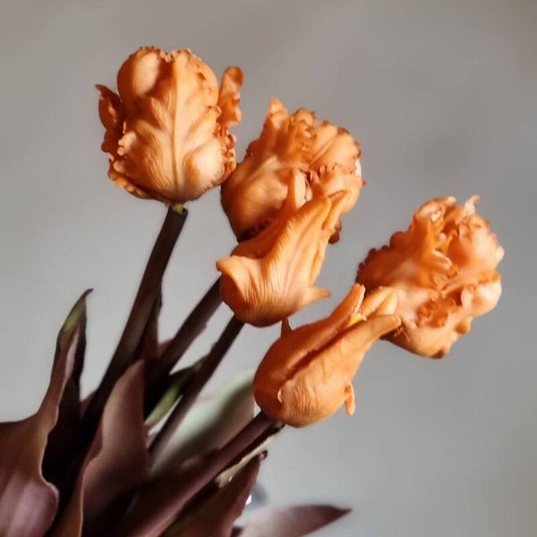 Countryfield Tulpen Oranje