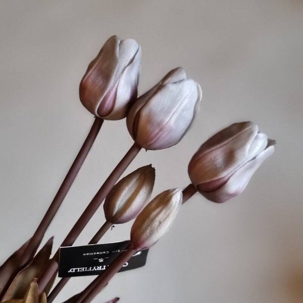 Countryfield Tulpen Grijs