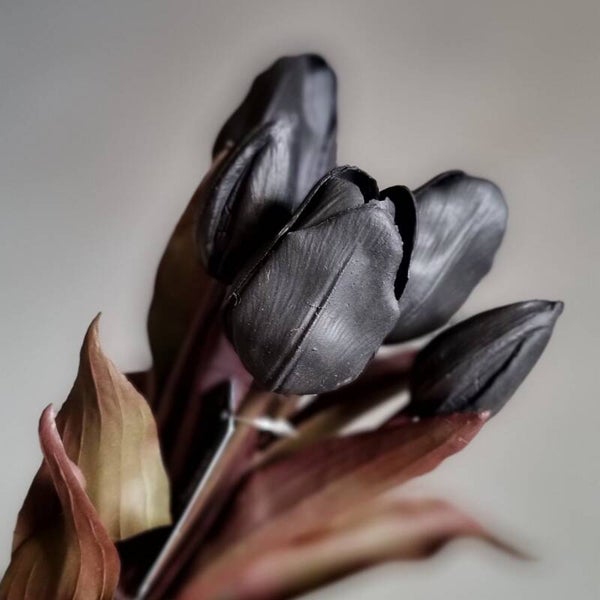 Countryfield Tulpen Zwart