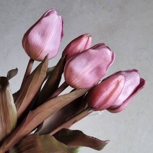 Countryfield Tulpen Roze