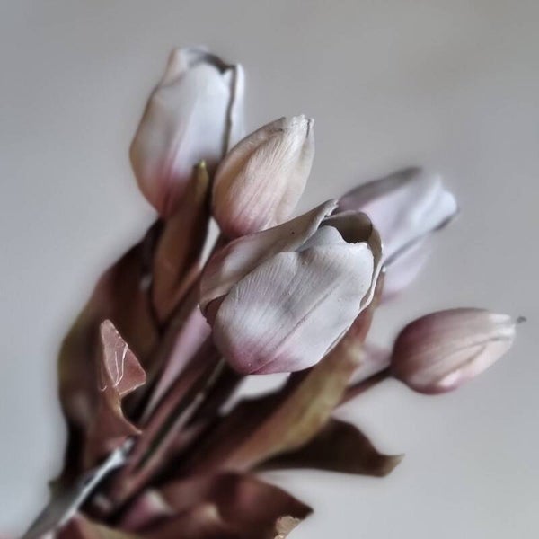 Countryfield Tulpen Grijs