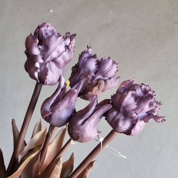Countryfield Tulpen Paars