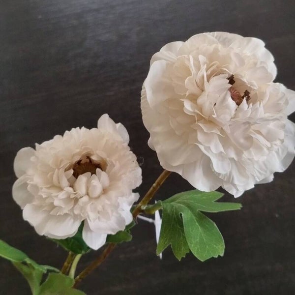 Suzo Anemone White