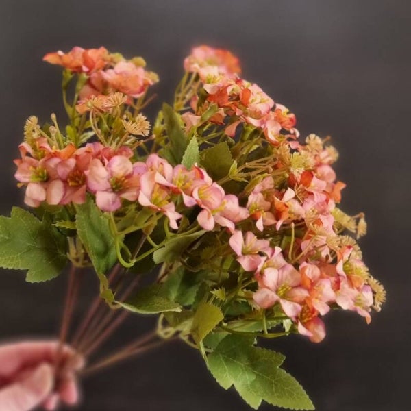 Suzo Freshi Brown