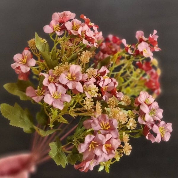 Suzo Freshi Pink