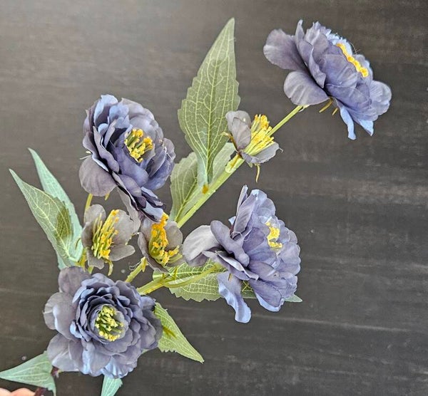 Suzo Paeonia Blue