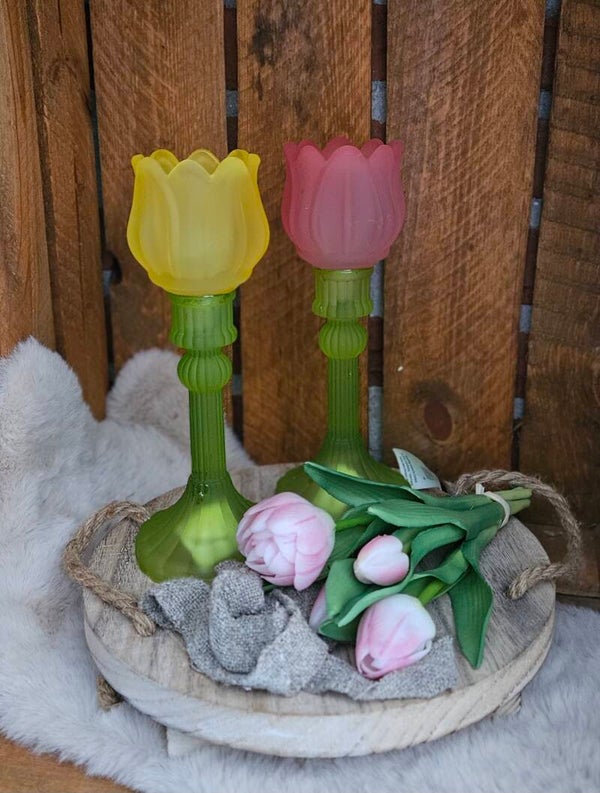 Plateau Tulp