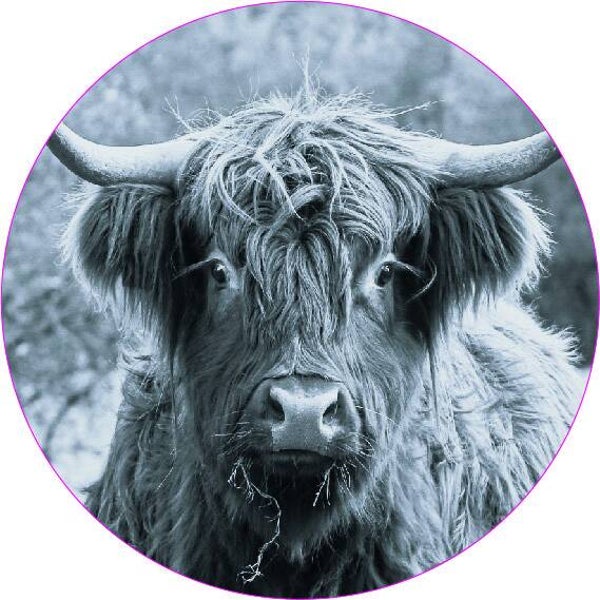 Zwart/Wit Schotse Hoogland Muurcirkel