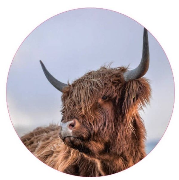 Schotse Hoogland Muurcirkel