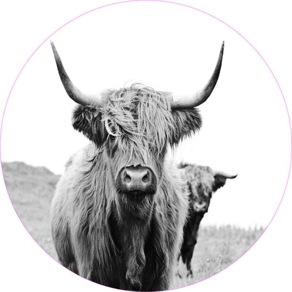 Zwart/Wit Schotse Hoogland Muurcirkel