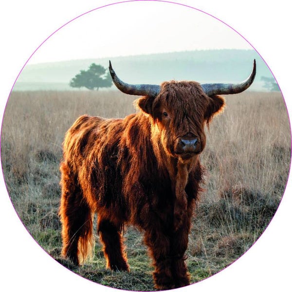 Schotse Hoogland Muurcirkel