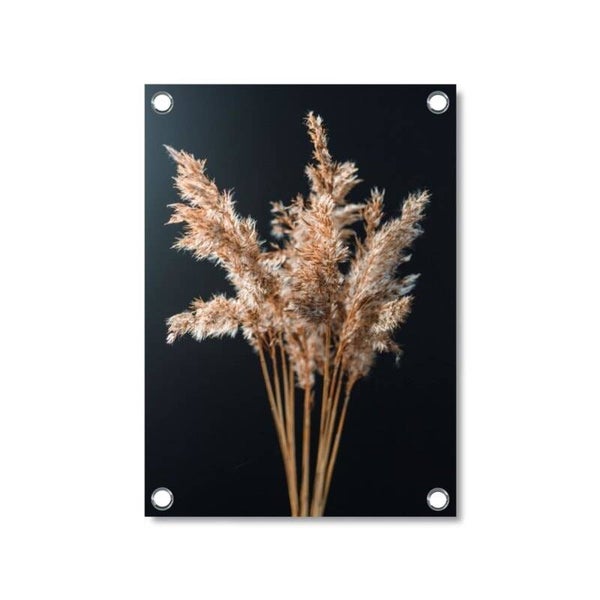 Tuinposter Pampas