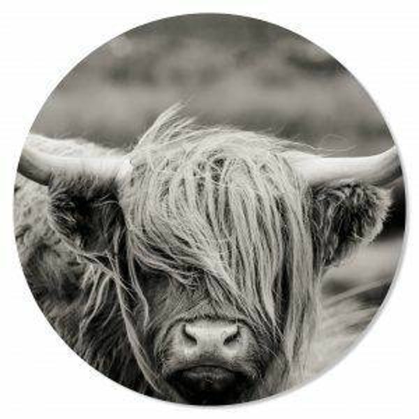 Zwart/Wit Schotse Hoogland Muurcirkel