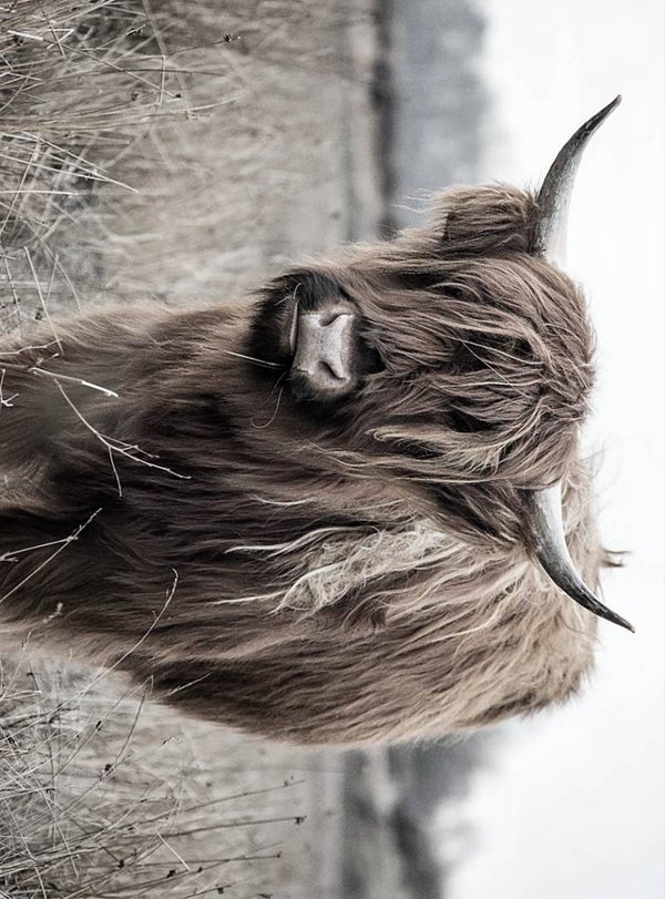 Deco bordje Hooglander