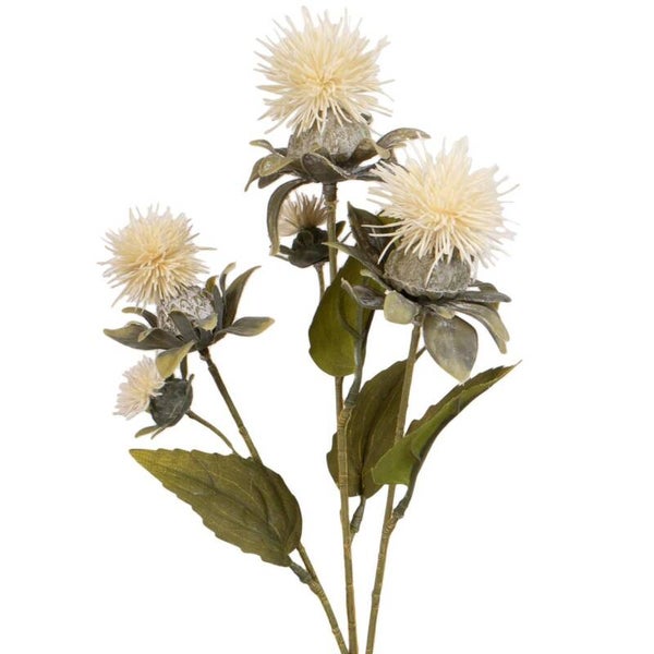 Distel Creme